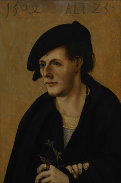 Portrait of a Young Man by Hans Leonhard Schäufelein