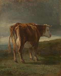 Red-and-white cow