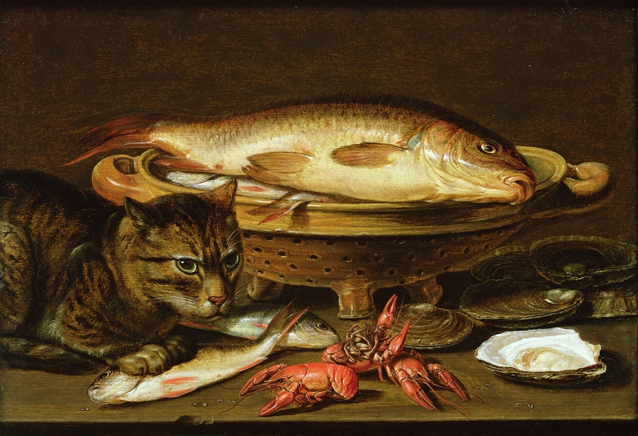Still life of fish, oysters and crayfish with a cat