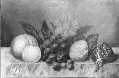 Stilleven met fruit en schelp by Diëgo Lopez Suasso