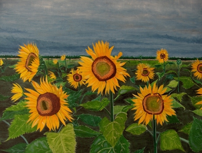 Stormy Sunflowers