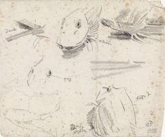 Studies van een poon en een schets van een kameel by Gerrit Willem Dijsselhof
