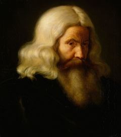 Study of an old Man by Adolph Tidemand