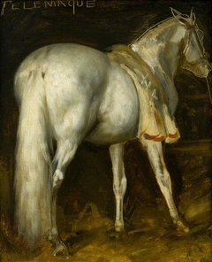 The Grey Horse 'Telemachus'