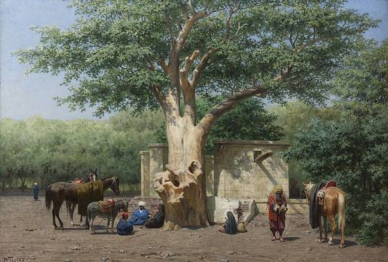 The well and sycamore in Ezbekieh Square, Cairo