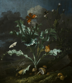 Thistles and Butterflies by Otto Marseus van Schrieck