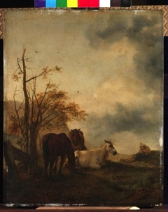 Three Horses in a Meadow by Philips Wouwerman