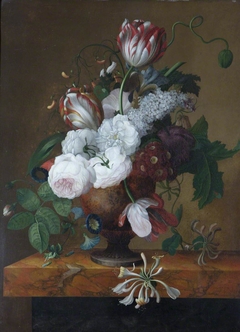Tulips, Honeysuckle, Peonies and Roses in an Urn by Jan Frans van Dael