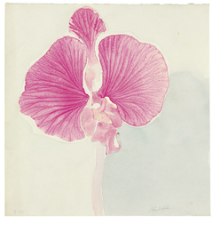 Untitled (Pink Orchid) by Ruth Asawa
