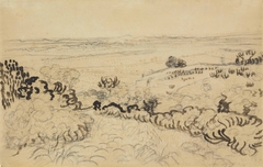 The Plain of La Crau by Vincent van Gogh