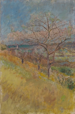 Valley with Trees in Bloom by László Mednyánszky