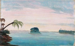 View of Brazil, The Great Riverbed of the Amazon by François-Auguste Biard