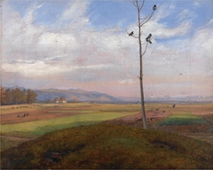 View over Fields near Dresden