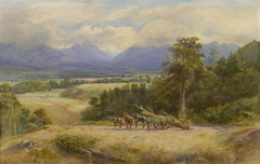 Wangapeka Valley by John Gully