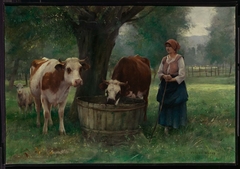 Young Woman Watering Cattle