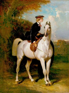 A Fair Equestrian