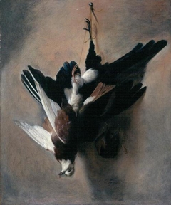 A Pigeon and Magpie by William Gouw Ferguson