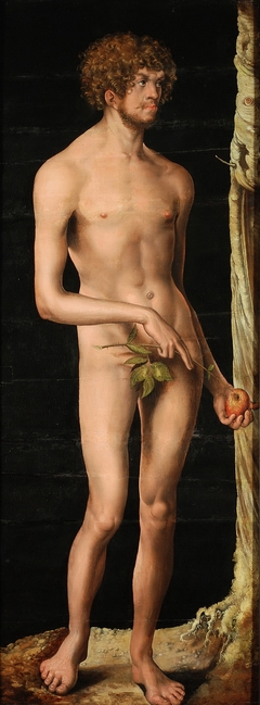 Adam by Lucas Cranach the Elder