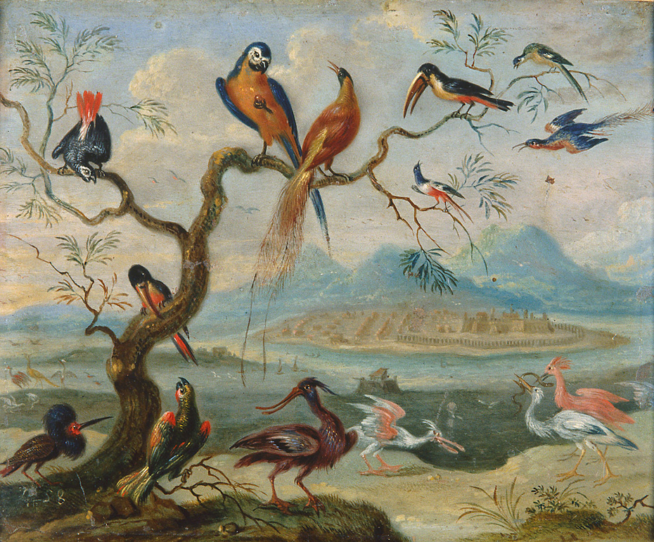 Ansichten aus den vier Weltteilen mit Szenen von Tieren: St. Merryn