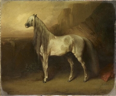 Baba-Ali, cheval arabe du général Henri d'Orléans, duc d'Aumale by Daniel Casey