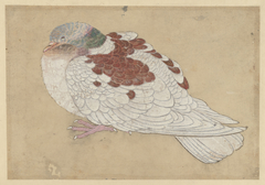 Bird by Haritsu Ogawa