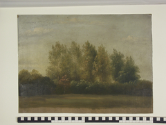 Bomen voor de kamp bij 't huis Boerkamp by Jan Wessel van Delden