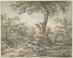 Boslandschap by Cornelis Buys