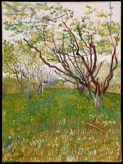 The Flowering Orchard by Vincent van Gogh