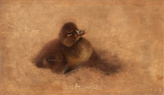 Duckling by Bruno Liljefors