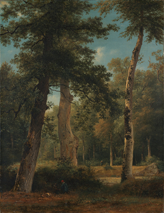 Een bos te Fontainebleau