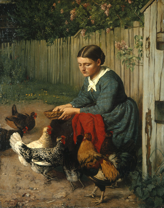 Girl feeding chicken