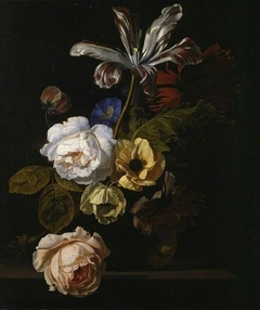 Group of flowers by Simon Pietersz Verelst