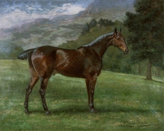 Horse by Adrian Jones