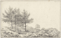 Landschap met links vier bomen by Pieter Ernst Hendrik Praetorius