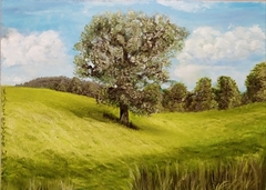 lonely tree by Maria Alexandri