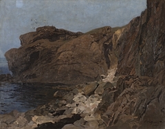 Nordische Felsenküste und Seevögel by Carl Saltzmann
