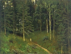 Path in the Forest (Spruce Forest)