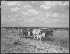 Pflügender Bauer mit einem Gespann von vier Ochsen by Viktor Weißhaupt