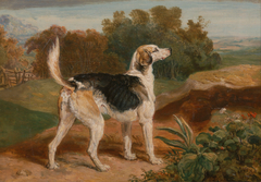 Ravager, One of the Lambton Hound by James Ward