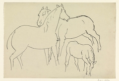 Schetsblad met drie studies van paarden by Leo Gestel