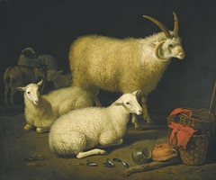 Sheep in a Stable