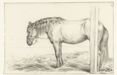 Staand paard in stal, naar links by Jean Bernard
