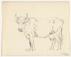 Staande koe, naar links by Jean Bernard