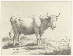Staande koe, naar rechts by Jean Bernard