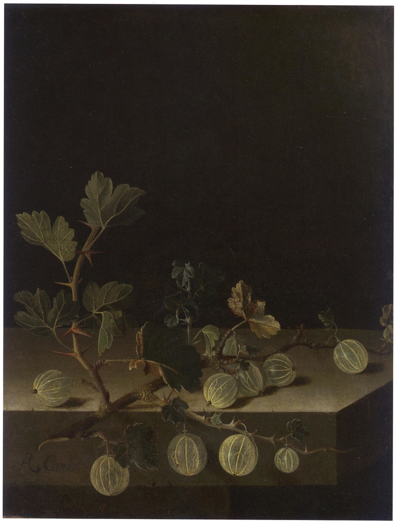 Still life with a spray of gooseberries