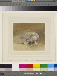 Study of a Dog by David Cox Jr