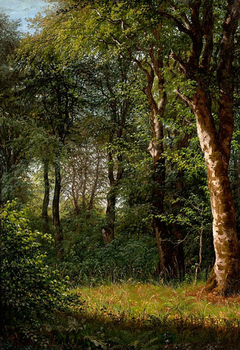 Sunlit spot in the forest. by Dankvart Dreyer