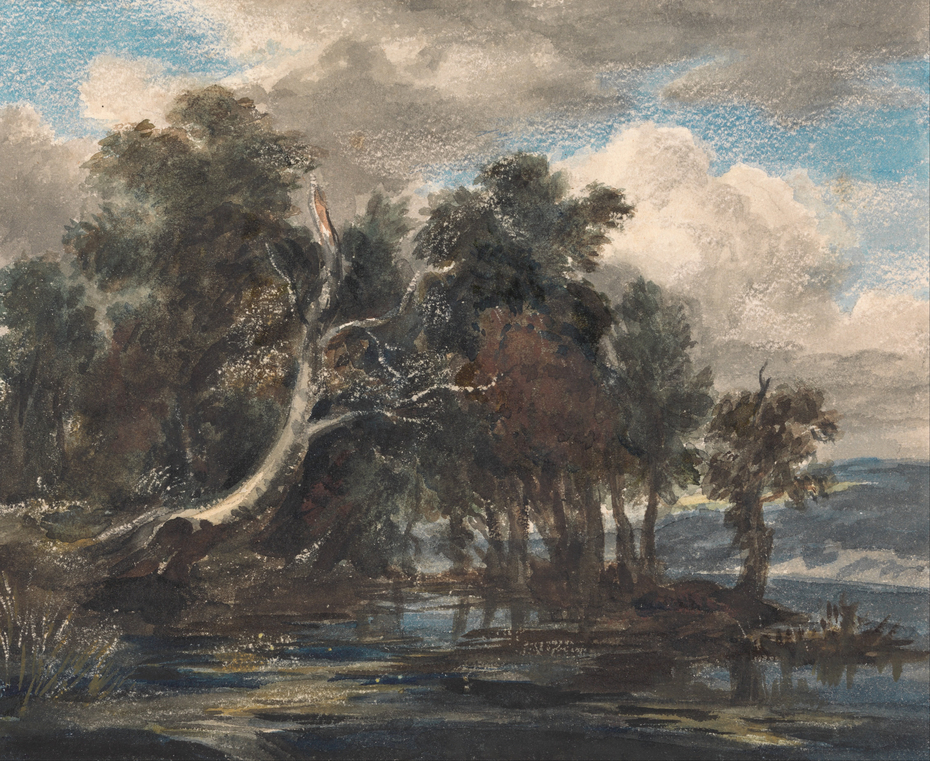 Trees by a River, Cloudy Sky