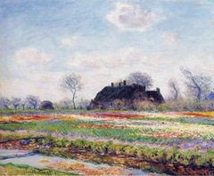 Tulip Fields at Sassenheim by Claude Monet
