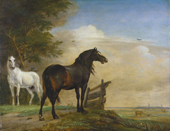 Two Horses in a Meadow near a Gate by Paulus Potter